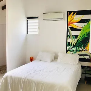 Kâz Tropicale , Sainte-Anne (Grande-Terre) Guadeloupe