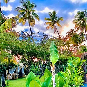 Majo Lounge Dans Un Jardin Tropical A 5 Min De La Caraibe , Saint-Pierre Martinique